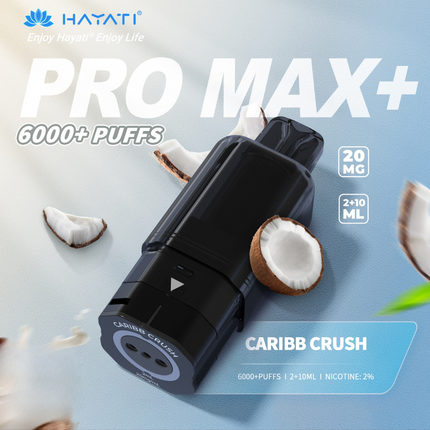 Prefilled Pods Hayati Pro Max Plus 6000 Puffs Box of 5