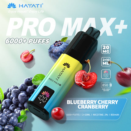 Hayati Pro Max Plus 6000 Puffs Prefilled Vape Kit Box of 5