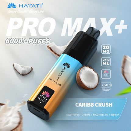 Hayati Pro Max Plus 6000 Puffs Prefilled Vape Kit Box of 5