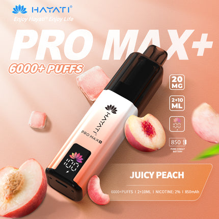 Hayati Pro Max Plus 6000 Puffs Prefilled Vape Kit Box of 5