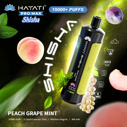 Hayati Pro Max Shisha Box of 5