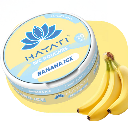 Hayati Nic Pouches Box of 10